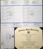 2 Match College Diplomas / University Diplomas + 4 Complete Transcript Sets + 4 University Registrars Envelopes