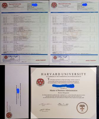 College & University Diplomas & Transcripts / High School Diploma & Transcripts / Home School Diploma & Transcripts / Registrar Envelopes / BROWSE ALL PRODUCTS HERE
