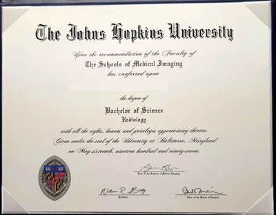 UNIVERSITY DIPLOMA