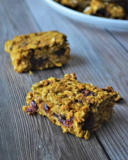 Pumpkin Craisin Oatmeal