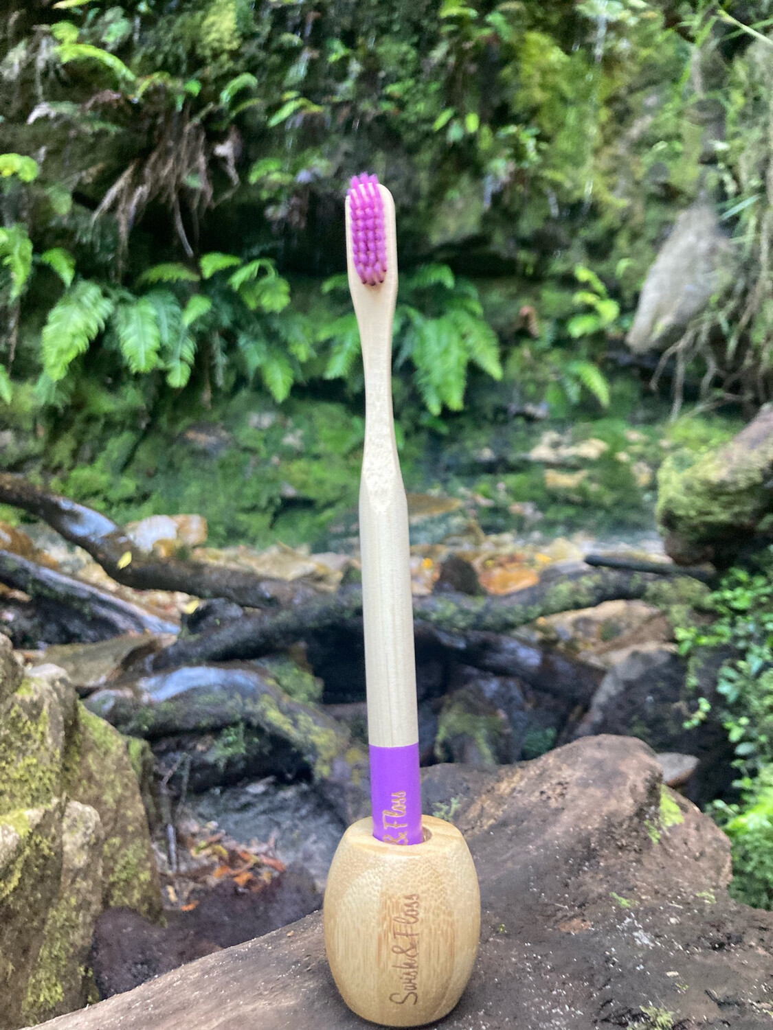 Toothbrush And Holder