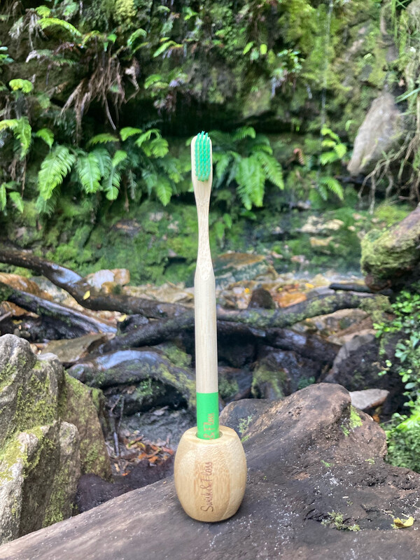 Toothbrush And Holder