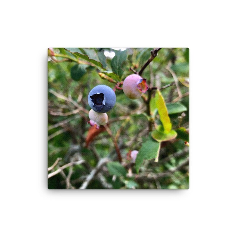 Very Berry Canvas