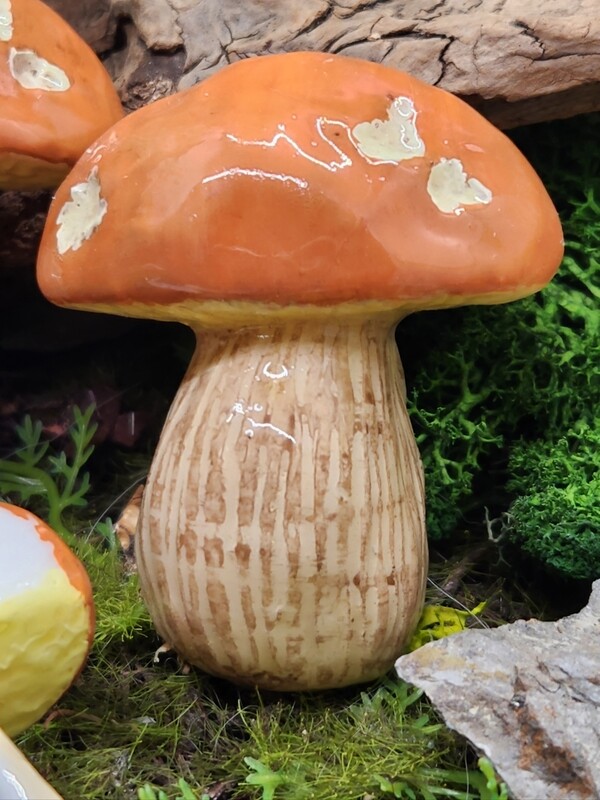 Bolete
