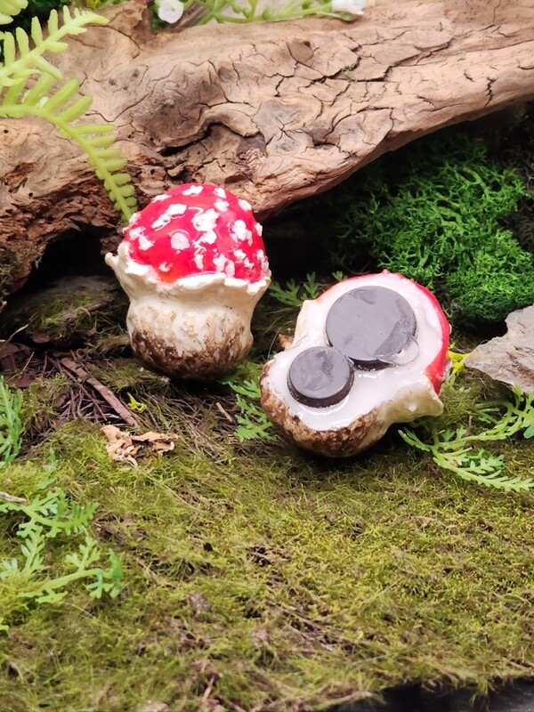 Amanita Muscaria