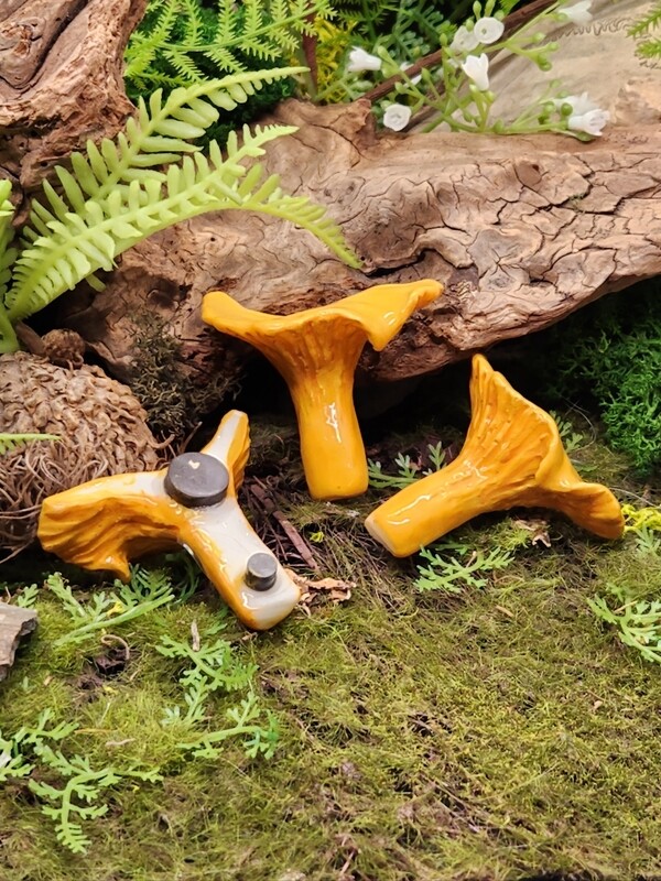 Chanterelles