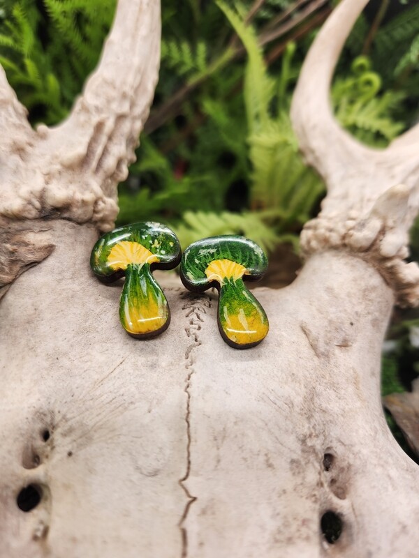 Parrot Waxcap 