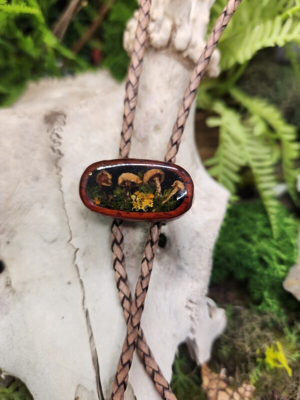 Small mushroom bolo