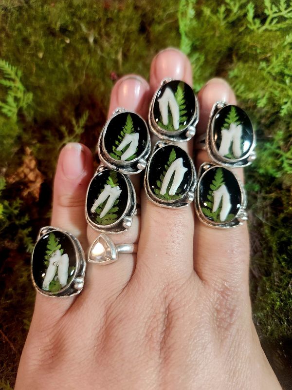 Opossum tooth rings