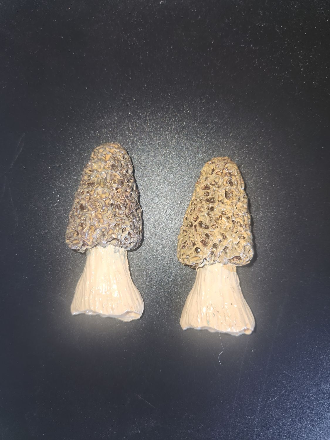 Morel