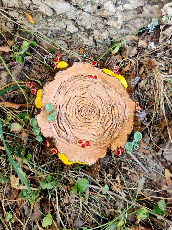 Tree Stump Ring Dish