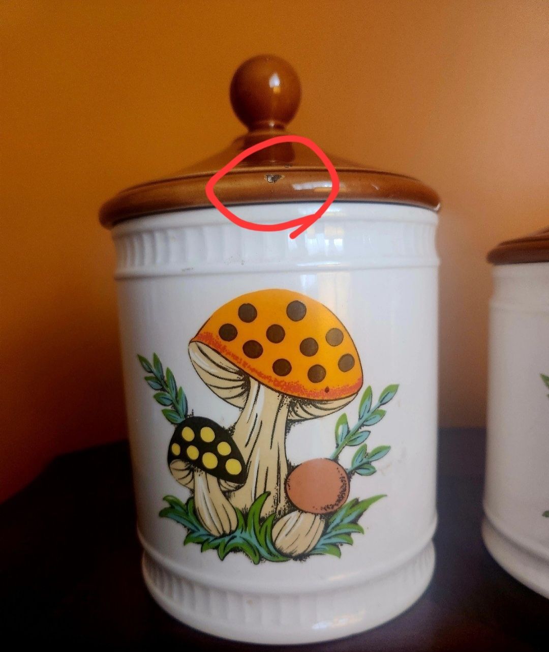 Merry Mushroom Canisters