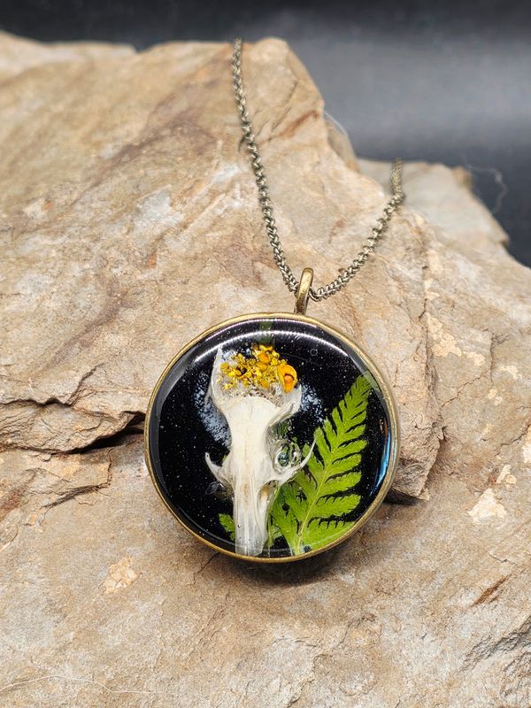 Field Mouse with Lichen