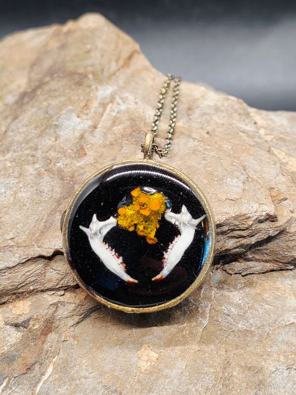 Mouse Jaw and Lichen 2