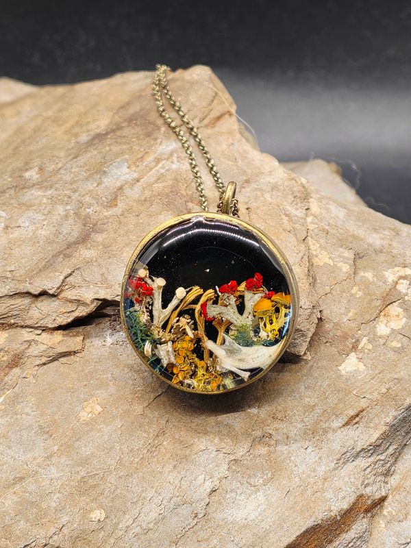 Mouse Jaw and Lichen