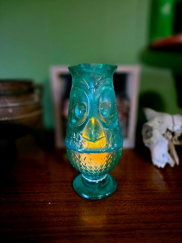 Teal UV Owl
