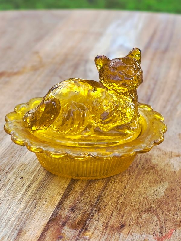 Amber 2