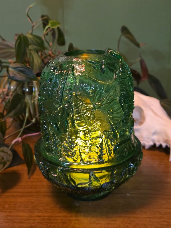 Bottle