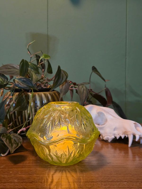 Light Moss