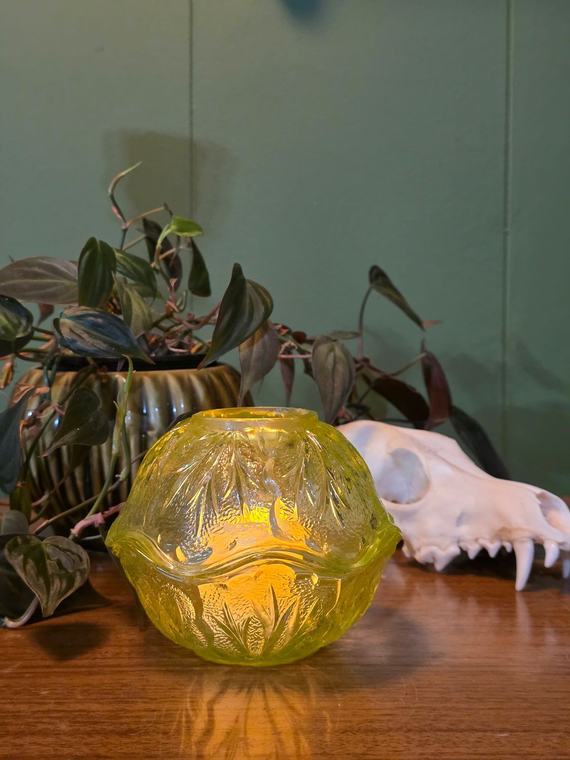 Light Moss