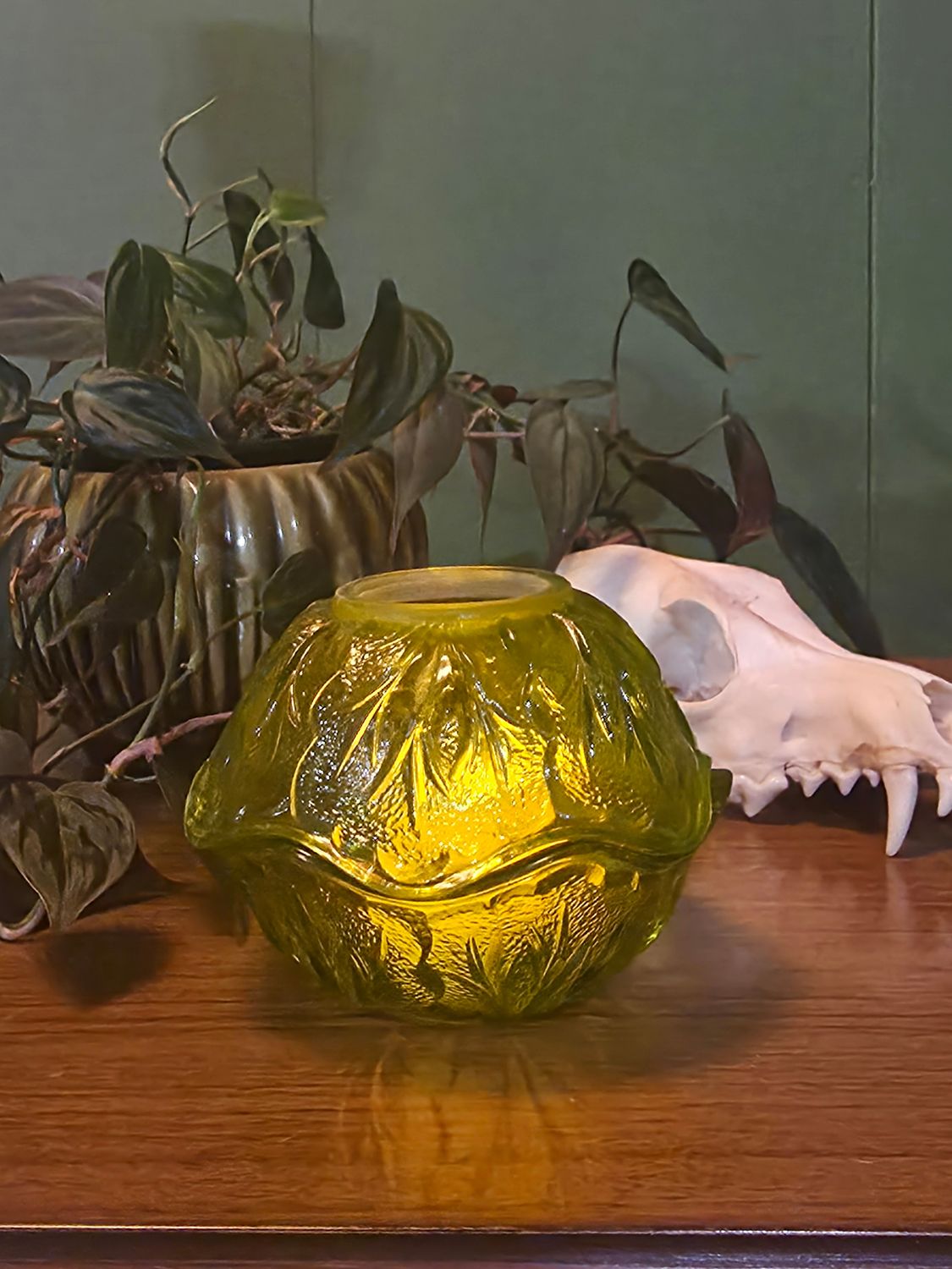 Citrus