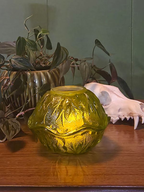 Citrus