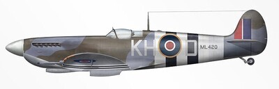 Reproduction Gold Edition Spitfire Mk IX (.60)