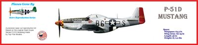 Reproduction Gold Edition P-51D Mustang