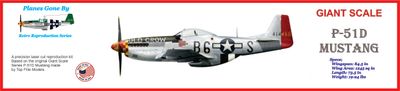 Reproduction Giant Scale P-51D Mustang