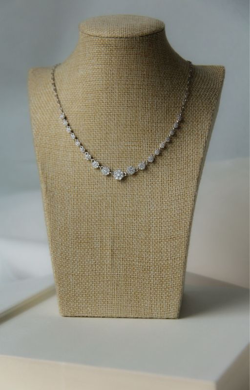Emily’s Necklace