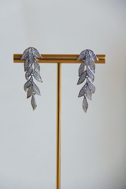Fancy Earrings