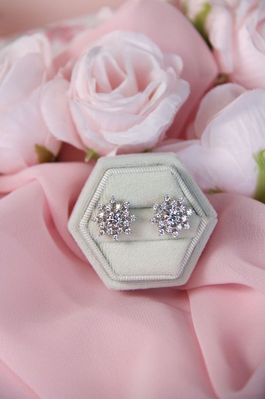 Charlotte’s Earrings