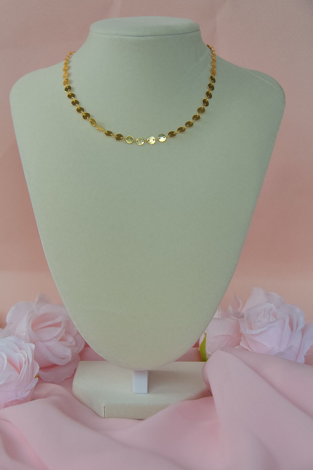 Medal Chocker Necklace