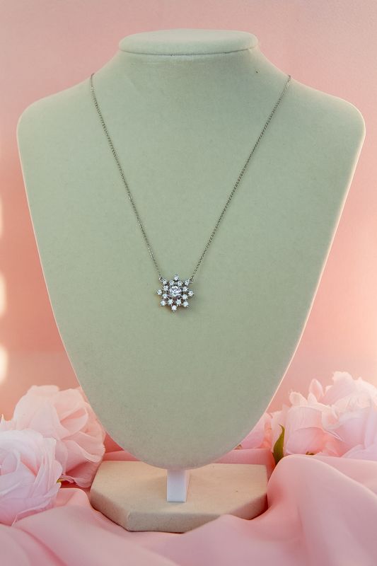 Charlotte’s Necklace