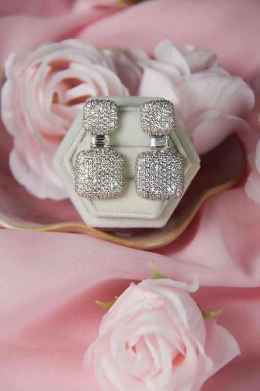 Larissa’s Earrings All In Clear Zircon