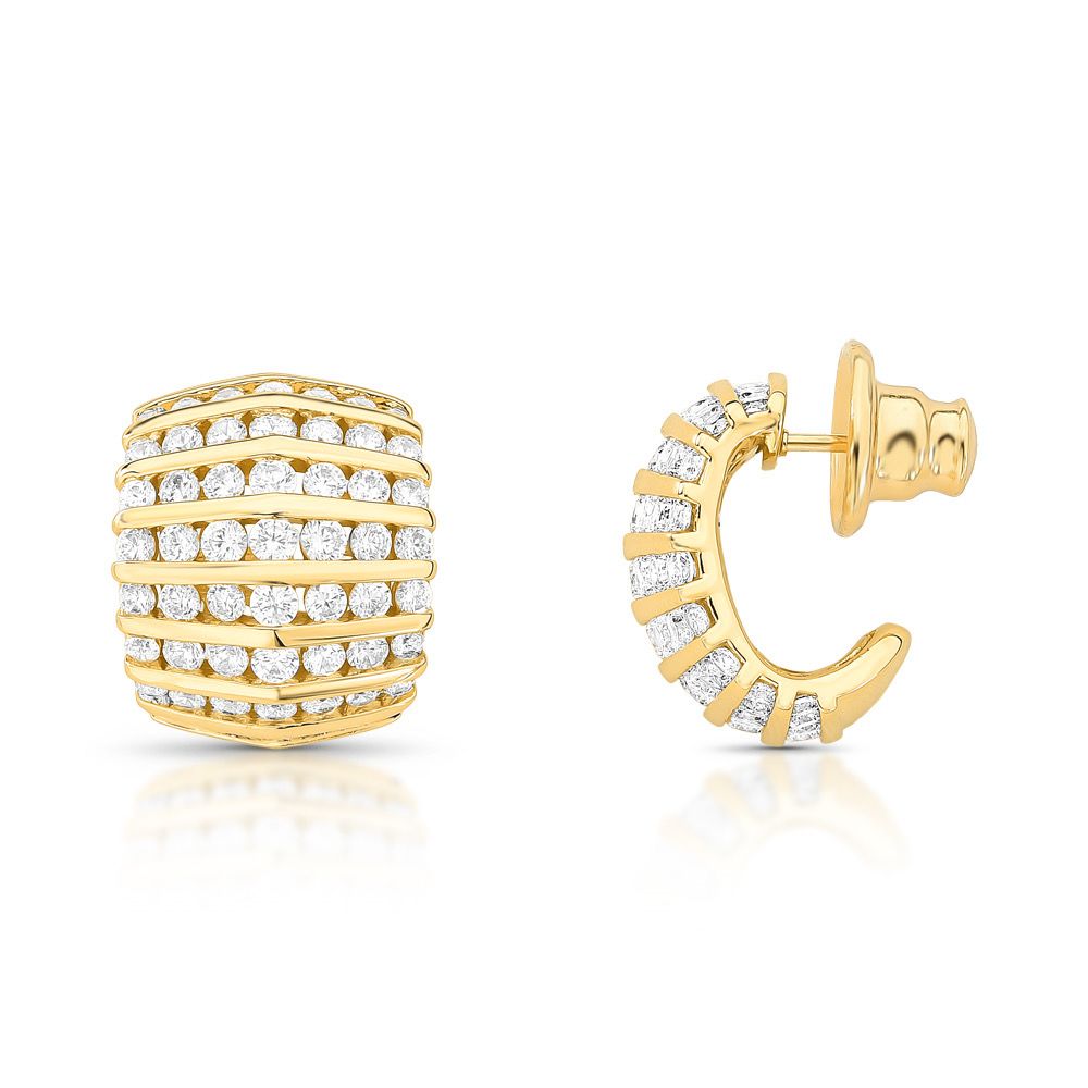 Elisa’s Earrings