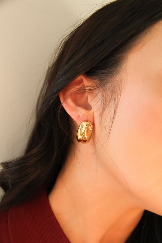 Anahi’s Earrings