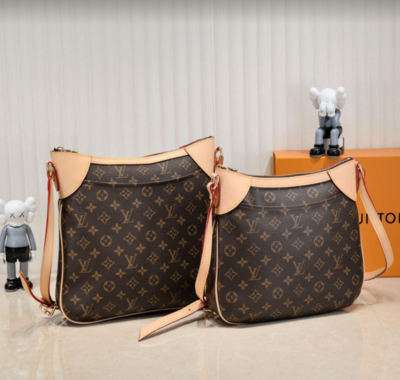 LV hobo crossbody