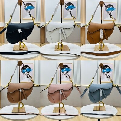 DIOR saddle bag