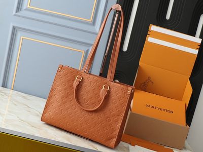LV camel on the go