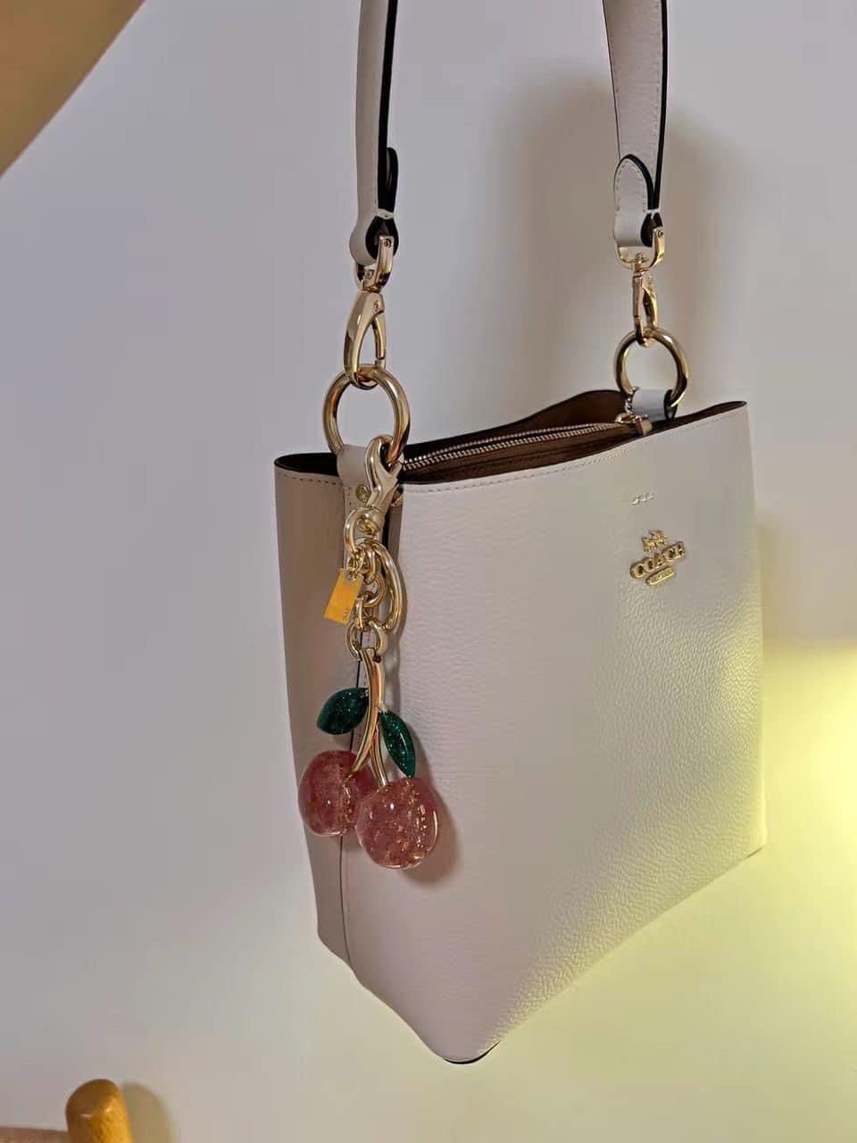 COACH cherry bucket bag