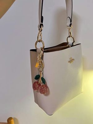COACH cherry bucket bag