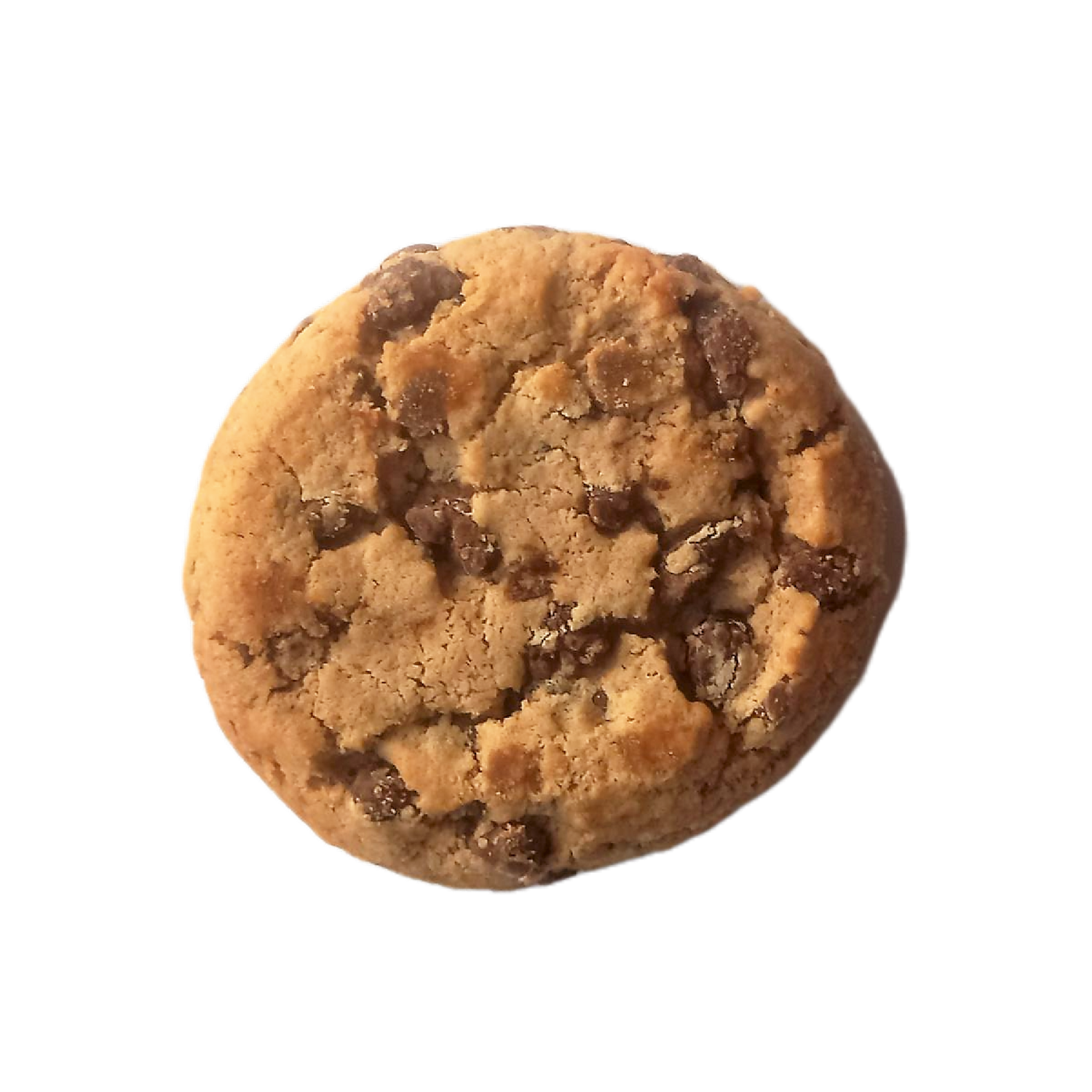 Soft Chocolate Chip Cookie (22g, 1 Cookie)