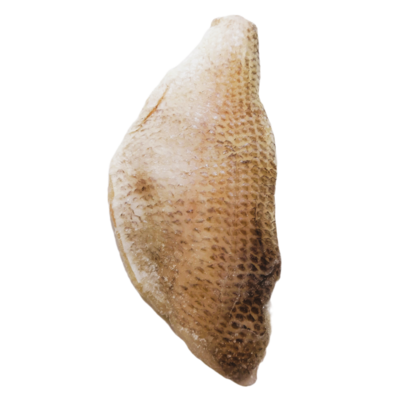 White Snapper Fish Fillet [Food Bank]