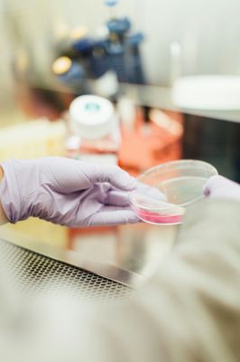 Synthetic Biologics
