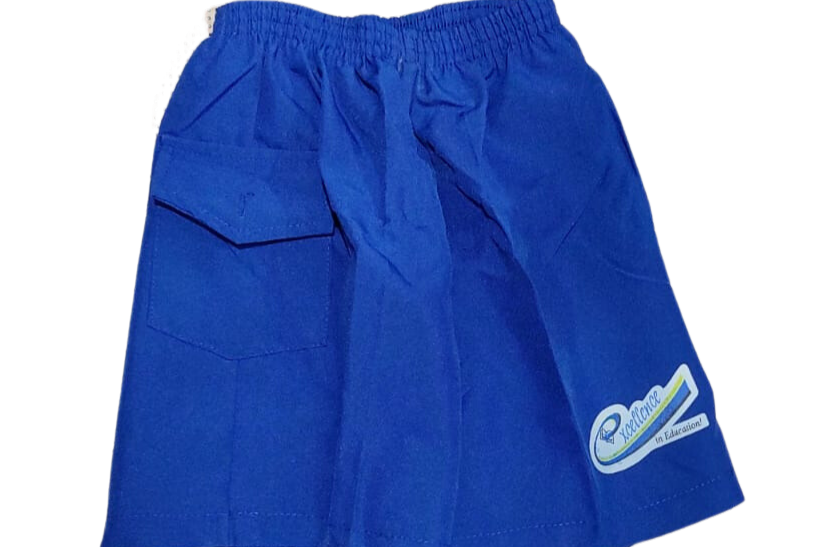 Royal Blue Pants - Size 12