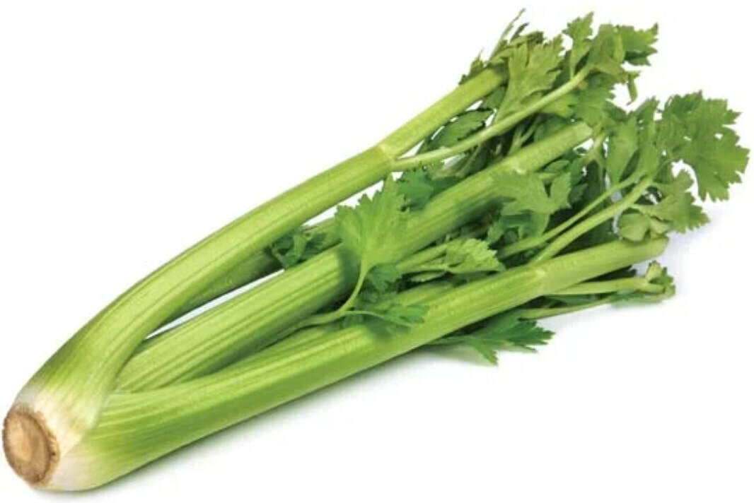 Celery