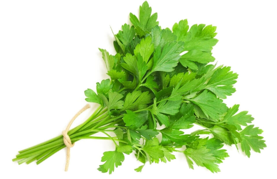 Parsley