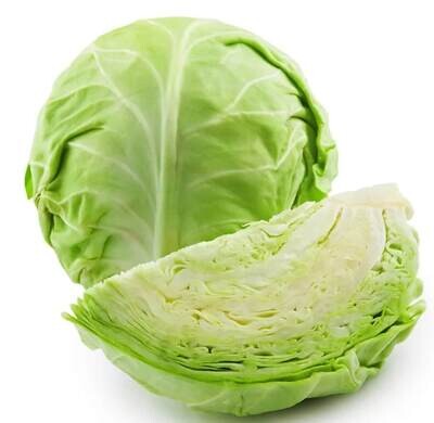 Cabbage