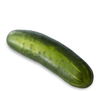 Cucumber